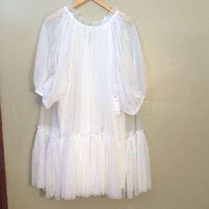 Elegant White Sheer Dress